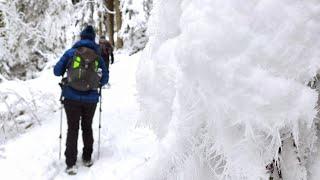 Pelister in winter | Hiking