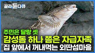 딱 2집만 살아 뱃길도 끊겨 회 먹고 싶으면 물고기 한 마리쯤은 자급자족 바다에서 꺼내 먹는 외딴섬마을에서의 하룻밤┃한국기행┃#골라듄다큐