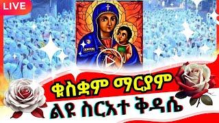 + LIVE  ስርዓተ ቅዳሴ // ቁስቋም ማርያም