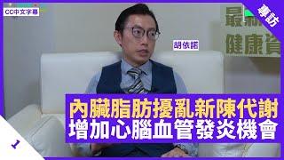 內臟脂肪毒素擾亂新陳代謝 增加心血管發炎機會 女士臀部肥胖毋需擔心 - 鄭丹瑞《健康旦》內分泌及糖尿科專科醫生 #胡依諾 Part 1 (CC中文字幕)