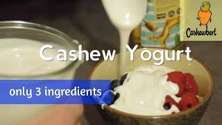 Cashew Yogurt