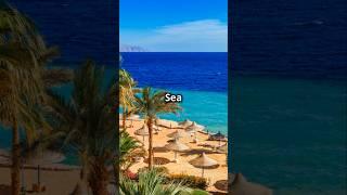 Visit the Red Sea! #travel #vacationdestinations #vacation #vacationideas #beach