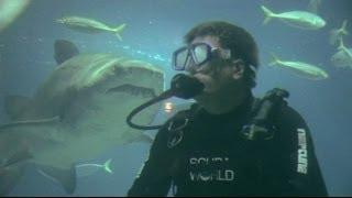 Tourism Queensland - Sunshine Coast