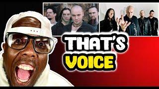 Singer-songwriter reacts to Disturbed 'The sound of silence' for the FIRST TIME