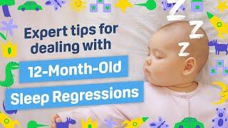 How to Help Your Child Survive a 12-Month Sleep Regression (ft. Sleep Specialist Chris Winter, MD)