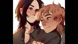 drarry & wolfstar