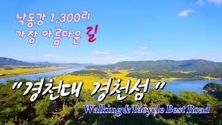 낙동강 1300리 물길 가장 아름다운  경천대 무우정 황금들판,경천섬 수상탐방로 비봉산 일몰(Sangju Gyeongcheon Island)