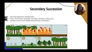 Dynamic and Resilient Ecosystems