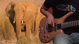Primus - Southbound Pachyderm (Bass Lesson)