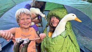 24 Hours Camping and Fishing with Our Ducks at the Homestead Campground