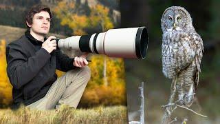 I Spent Autumn Photographing Wildlife in Yellowstone