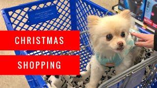 Shopping at PetSmart for Christmas | Puppy Haul