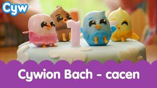 Cywion Bach - Cacen  | Welsh Toddler Learn First Welsh Words Cake Nursery Rhyme Songs 