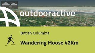 Interactive 3D flight: Wandering Moose 42Km