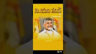 TDP Songs