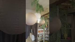 A quick #look inside our #new #concept #shop #rescolibycarlo #homedecor #character #quality #charm