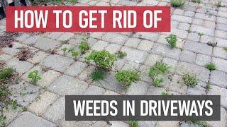 How to Get Rid of Weeds in Driveways [DIY Lawn Care]