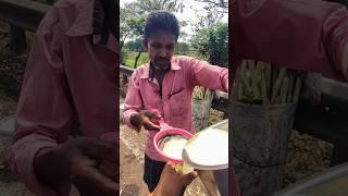 Best Natural Sugarcane Juice of india  || Hygienic Sugarcane Water #shorts