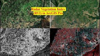 Radar vegetation Index in ArcGISPro