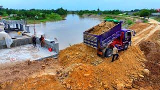 Start Project !! Bulldozer Komat'su Push Soil and Truck 5Ton Unloading Soil Develop Area in Cambodia