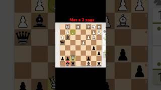 Мат в 2 хода. Решишь? Отрывок занятия. #chess777 #chess #шахматы #chessgame #обучение