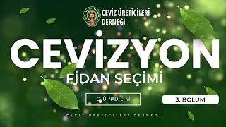 Cevizyon Gündem 3. Bölüm Fidan Seçimi  #ceviz #fidandikimi #cevizüreticileriderneği