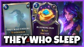 I WENT UNDEFEATED WITH LILLIA BY SLEEPING THEY WHO ENDURE!! | Legends of Runeterra