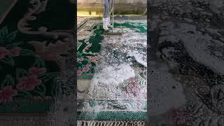 Foam scraping #75#satisfying #asmr #carpetcleaning.