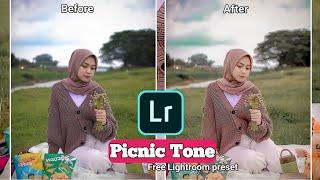 Picnic Tone Lightroom presets/Free lr Preset dng/Lightroom editing tutorial/New lr Preset/Presets/