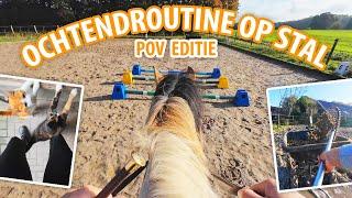 POV Ochtendroutine op stal: klusjes & paarden trainen 