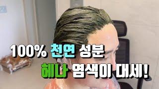 100%천연! 헤나염색! 집에서 간편하고 쉽게 하는 방법