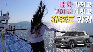 [EP0] 완도에서 배타고 제주도 가기 | 실버클라우드호 | 스페셜펫룸 | 애견동반여행