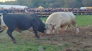 Jablan Nusret Sido vs Garci Milan Jukić udarna Rasko Polje