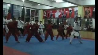 Sanjay Karate School