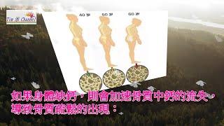骨質疏鬆 與 缺钙和日常生活中的正確“補鈣”：年紀大了，補鈣還來得及嗎？∣生活養生小知識∣Tim添頻道  #骨質疏鬆 #健康 #養生 #生活健康