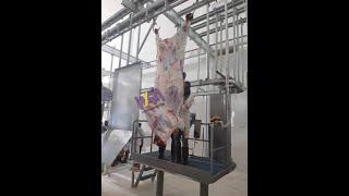 AMAZING FRESH BEEF FACTORY PROCESSING LINE- MODERN TECHNOLOGY LIVESTOCK SLAUGHTERHOUSE-FOOD PROCESS