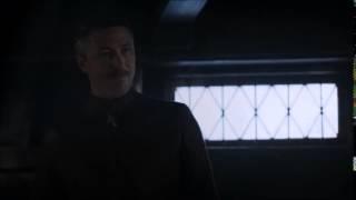 Petyr Baelish |  I'd risk everything