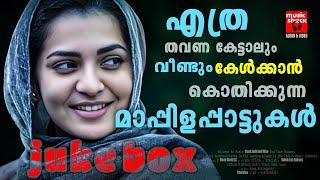 വീണ്ടും കേൾക്കാൻ കൊതിച്ച മാപ്പിളപ്പാട്ടുകൾ | Mappila Songs | Old Mappilappattukal | Mappilappattukal