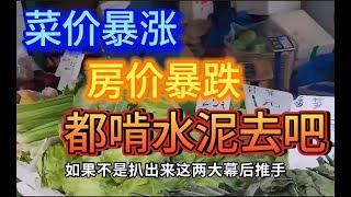 菜价暴涨房价暴跌，都啃水泥去吧