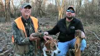 Squirrel Hunting - Smackdown with Some Fine Hunting Dogs! - Sportsman TV