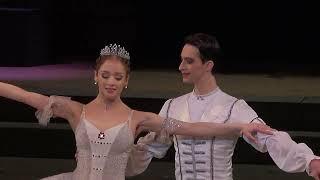 Lukina and Zaleev (Mariinsky Ballet) Sleeping Beauty Act 3