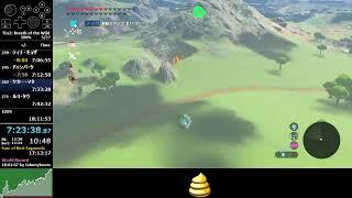 BotW 100% 17:35:16