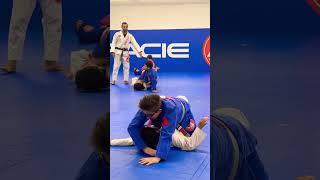 #jiujitsutraining #jiujisu professional lift up