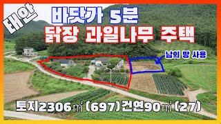 [물건번호2656]태안군 소원면 바닷가  3km거리 " 닭장+유실수 나무 많은 바닷가 주택' 입니다,  태양광발전시설+지하수+닭장+ 과일나무 +비닐하우스 몽땅 다 드립니다, 최저가