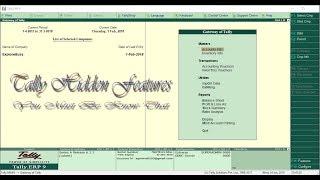 Hidden Features of Tally [You must be know that]