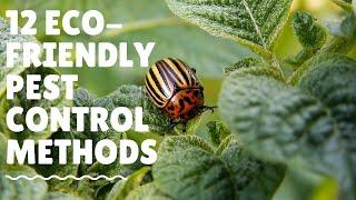 12 Eco friendly Pest Control Methods