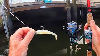 Eerie Night Vision Florida Dock Fishing + Awesome Flats Bite at Sunrise!