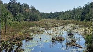 Fred Gannon Rocky Bayou State Park Niceville, Florida