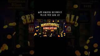 온라인 슬롯 버팔로킹 맥스윈 잭팟 당첨 샷!#슬롯잭팟 #shorts