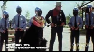 KING KUNG FU: King Kung Fu Fights the Law